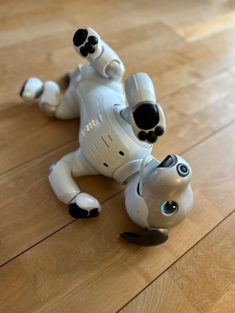 Sony Aibo ERS-1000 White Robot Dog – Replay Wholesale